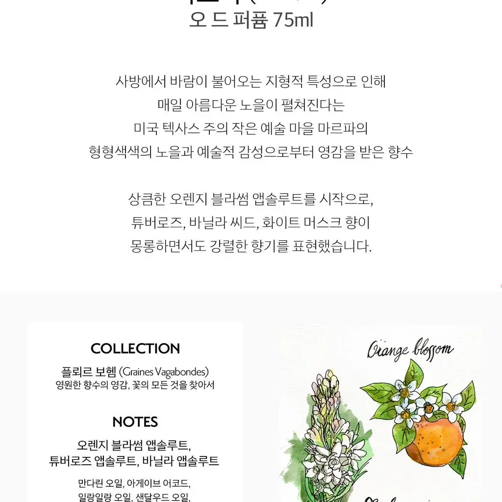 메모 마르파 오드퍼퓸 (30ml/75ml) 상세페이지 2