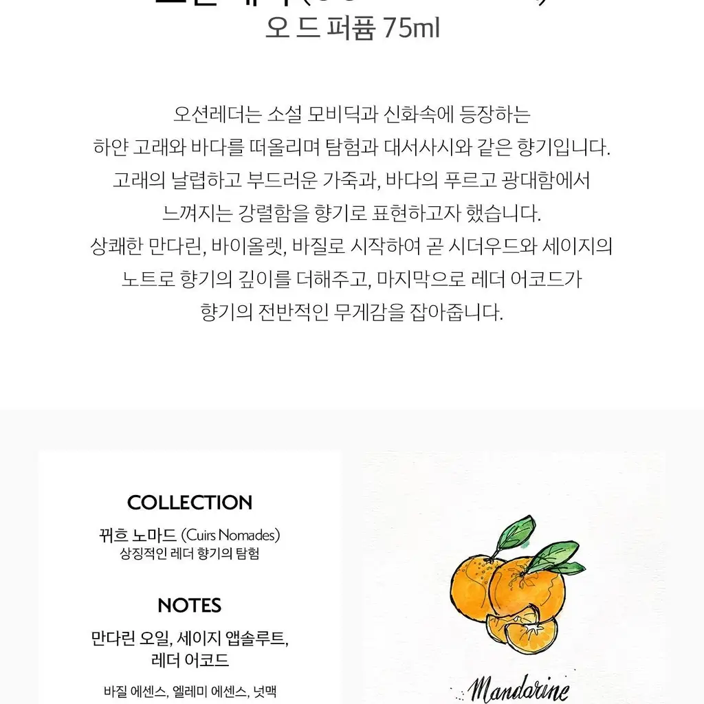 메모 오션 레더 오드퍼퓸 75ml 상세페이지 2