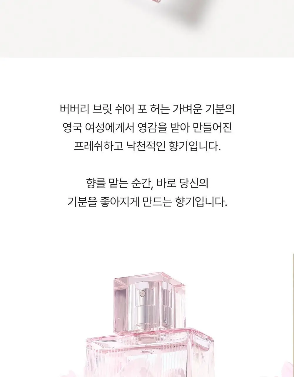 버버리 브릿쉬어 EDT 50ml 상세페이지 3