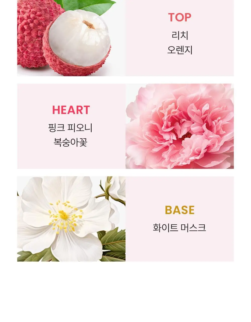 버버리 브릿쉬어 EDT 50ml 상세페이지 5