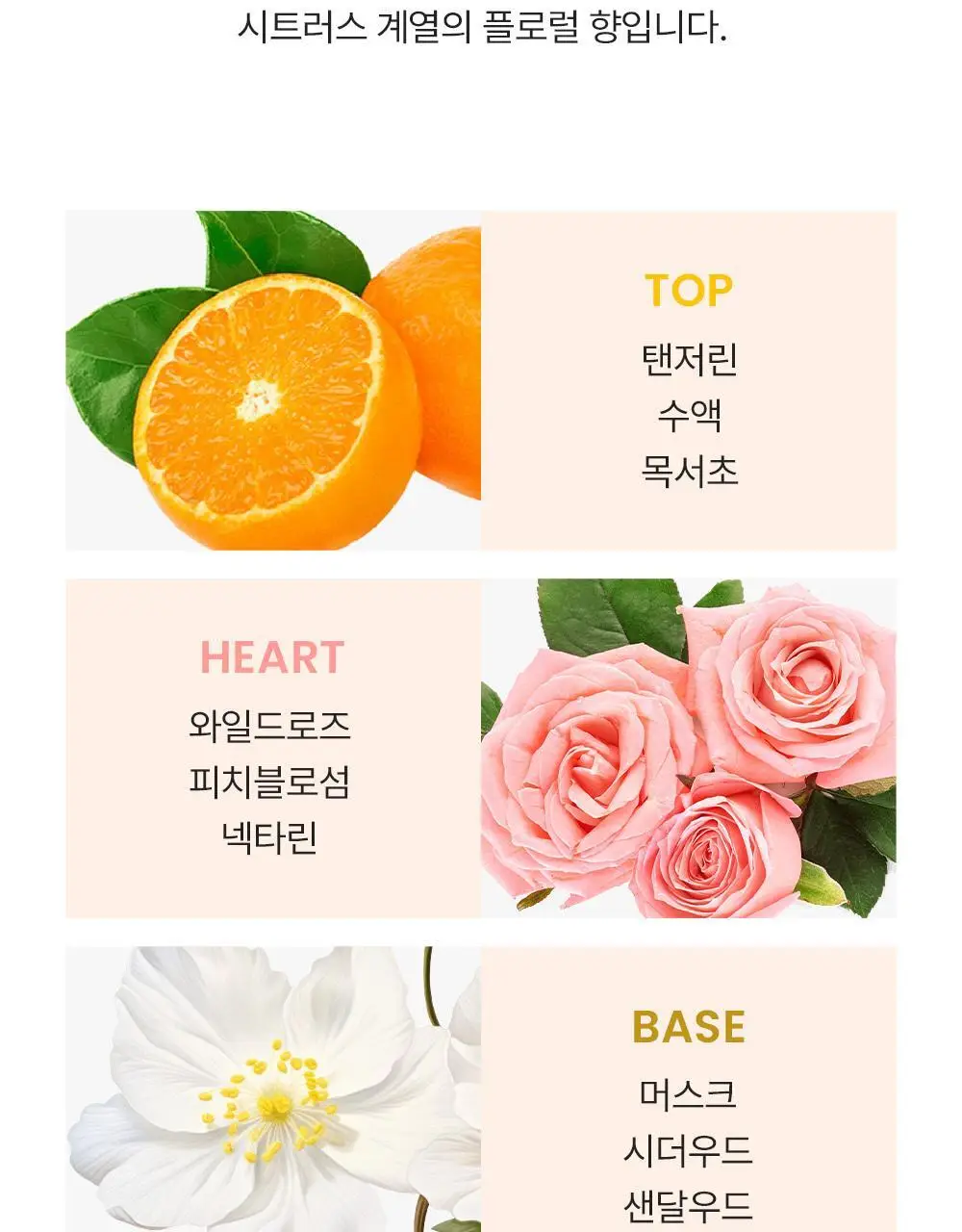 버버리 위크엔드 우먼 EDP 30ml/100ml 2종 택1 상세페이지 5