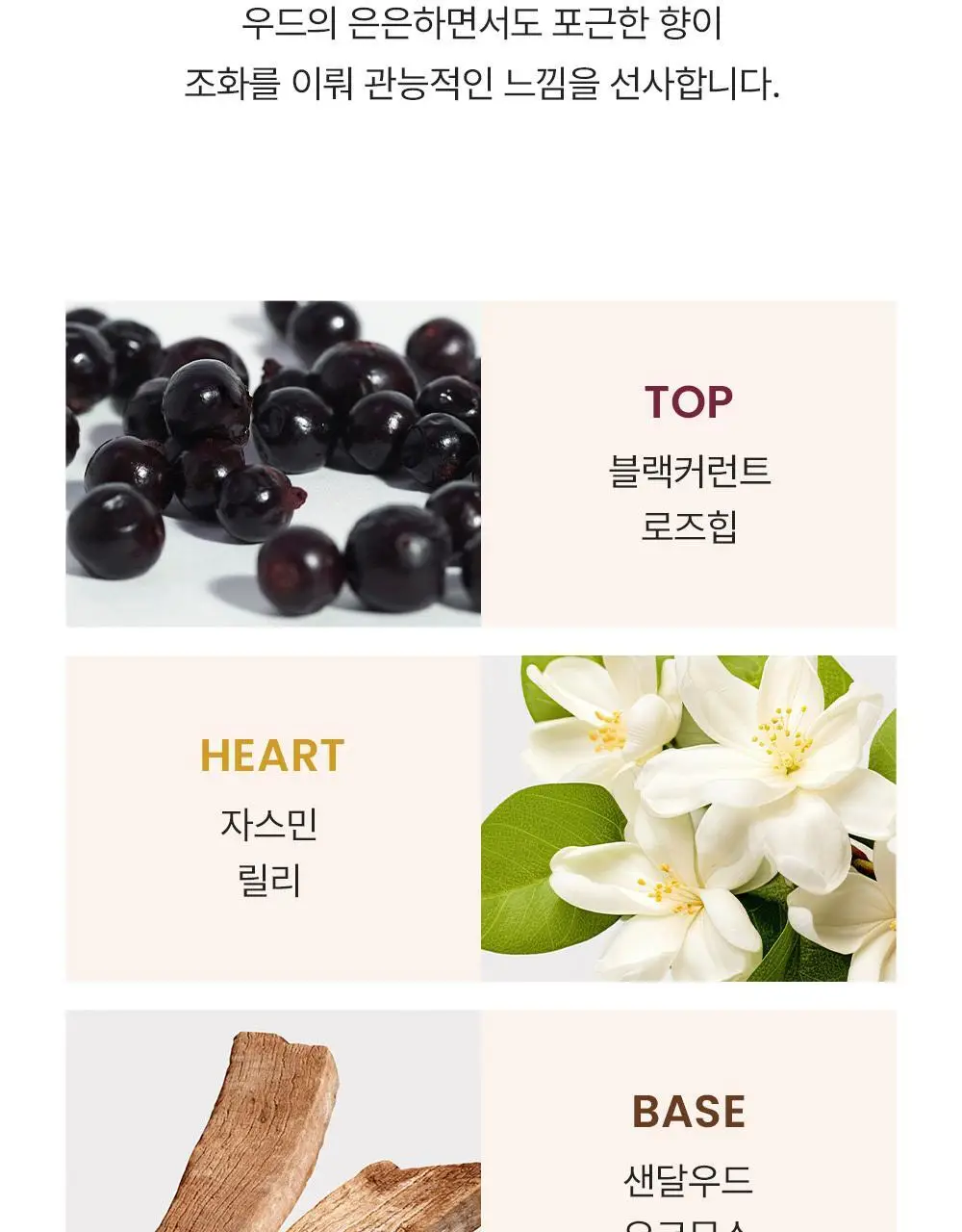 버버리 터치 포 우먼 EDP 50ml 상세페이지 5