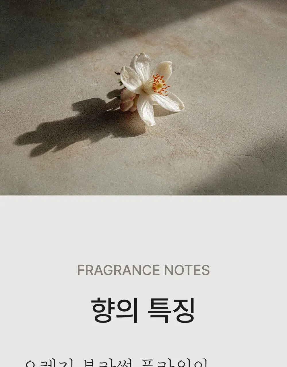 센틀리에 EDP 50ml 오렌지 블라썸 토스카나 상세페이지 8
