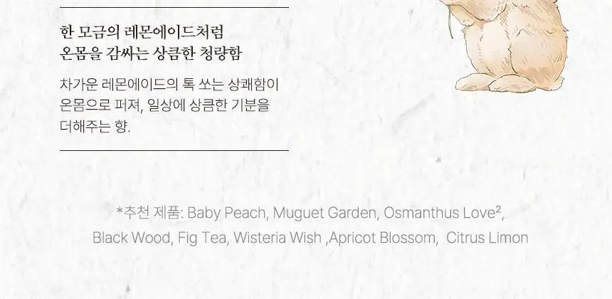 아뜰리에페이 퍼퓸 중 1 단품/기획 상세페이지 13