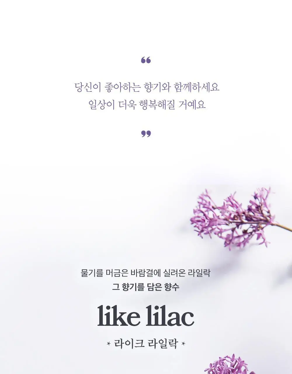 아로 라이크 라일락 EDT 50ml 상세페이지 3