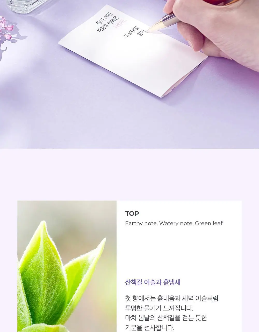 아로 라이크 라일락 EDT 50ml 상세페이지 6