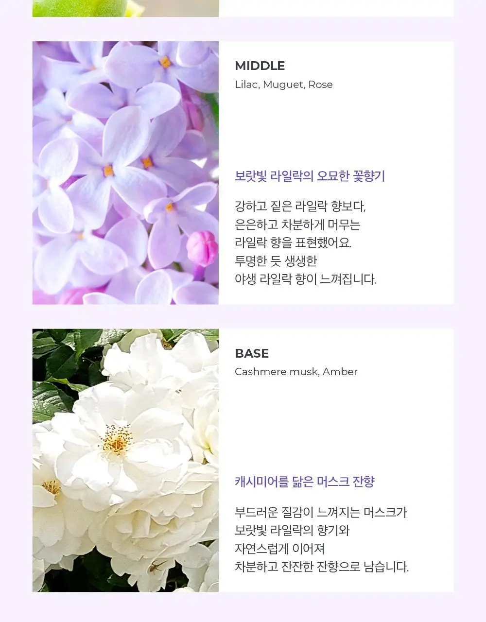 아로 라이크 라일락 EDT 50ml 상세페이지 7