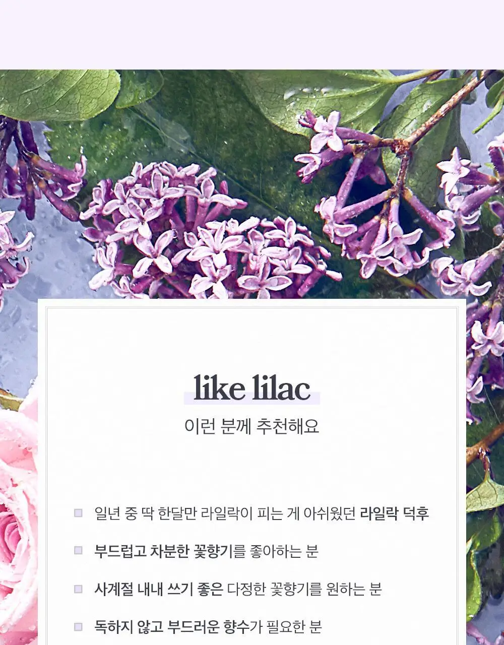 아로 라이크 라일락 EDT 50ml 상세페이지 8