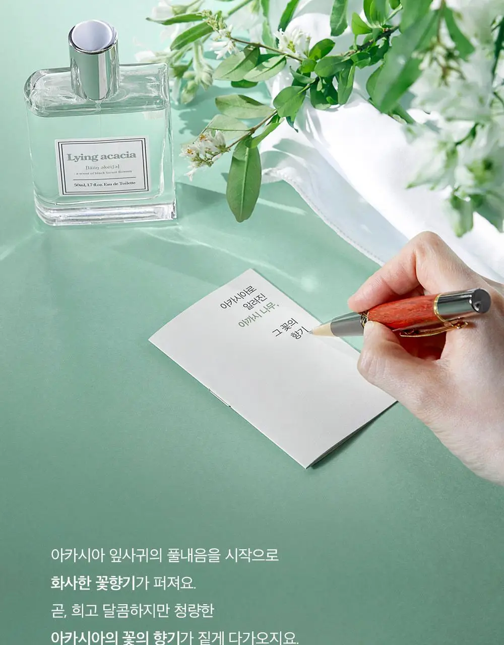 아로 라잉 아카시아 EDT 50ml 상세페이지 3