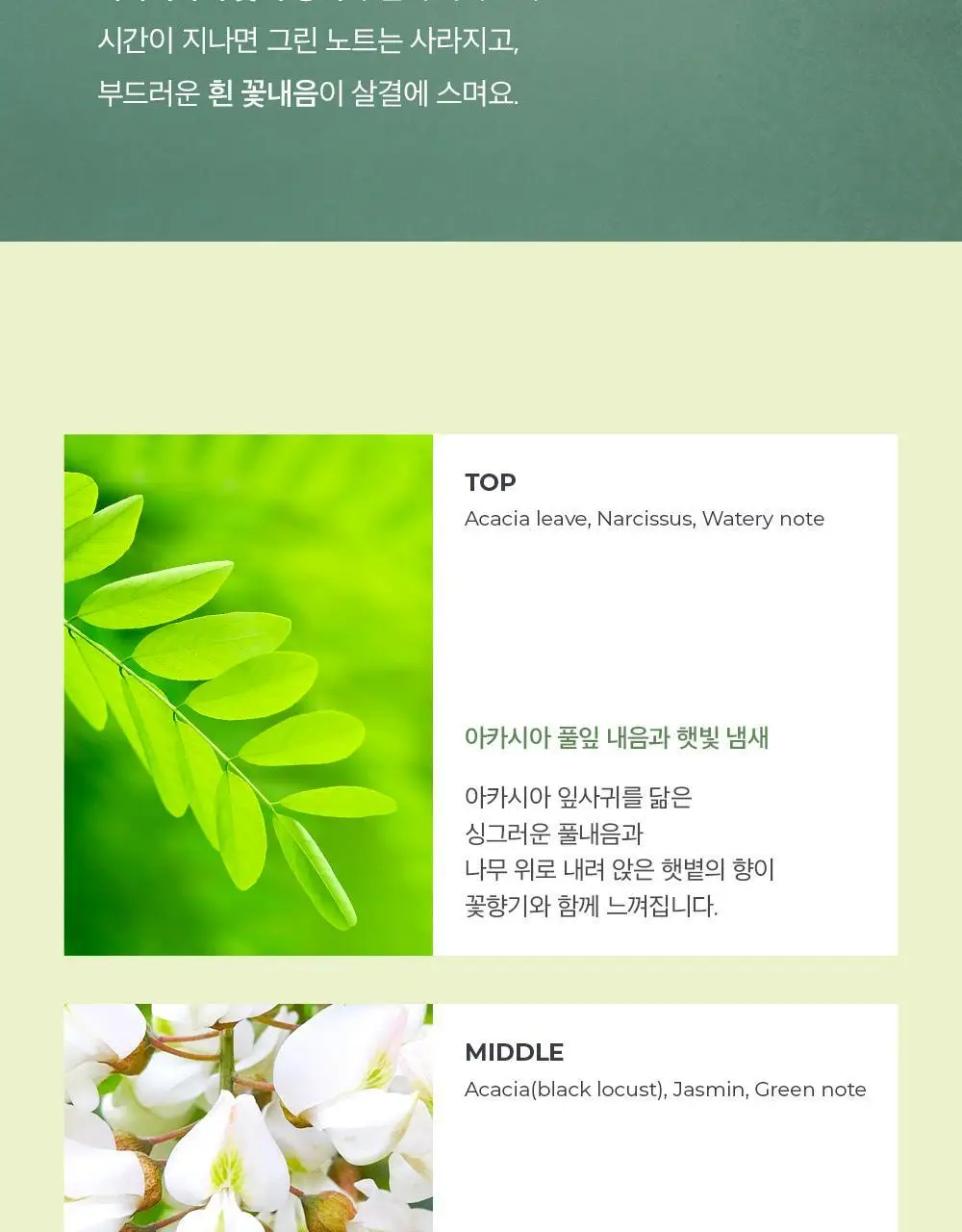 아로 라잉 아카시아 EDT 50ml 상세페이지 4