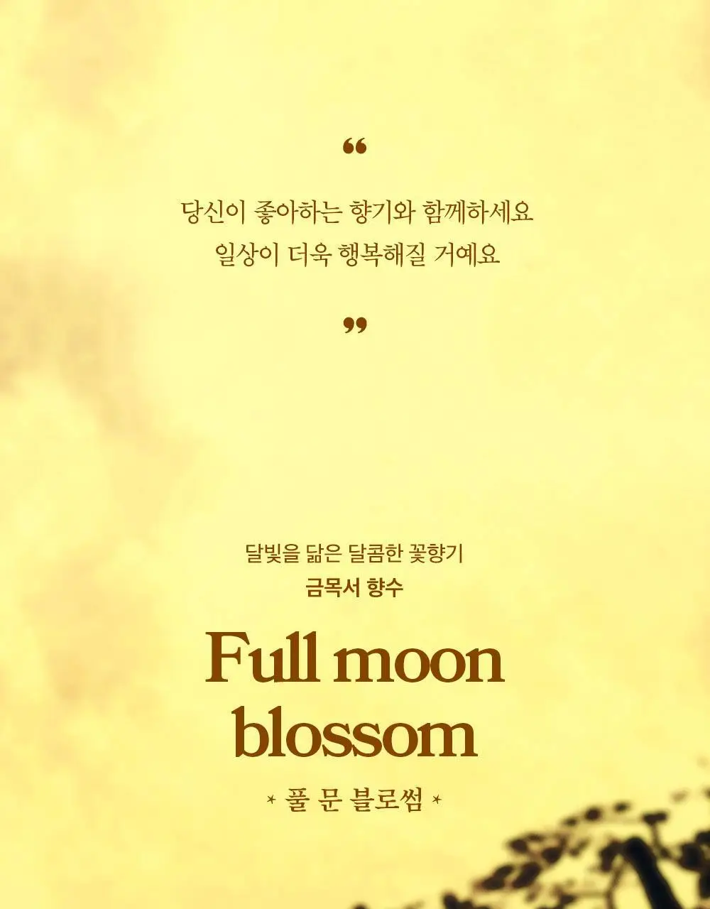 아로 풀 문 블로썸 EDT 50ml 상세페이지 3
