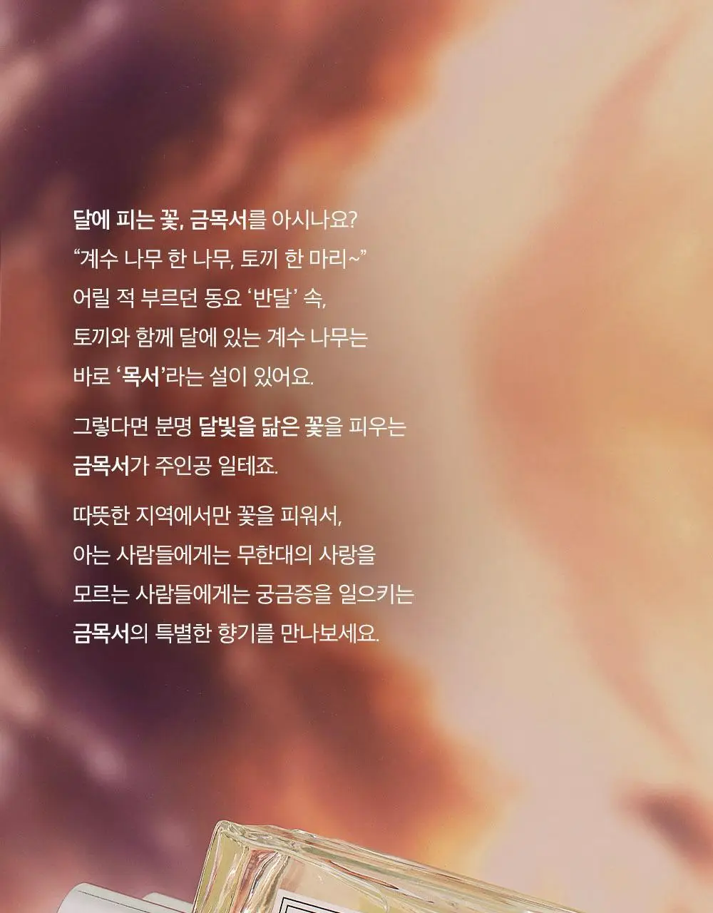 아로 풀 문 블로썸 EDT 50ml 상세페이지 5