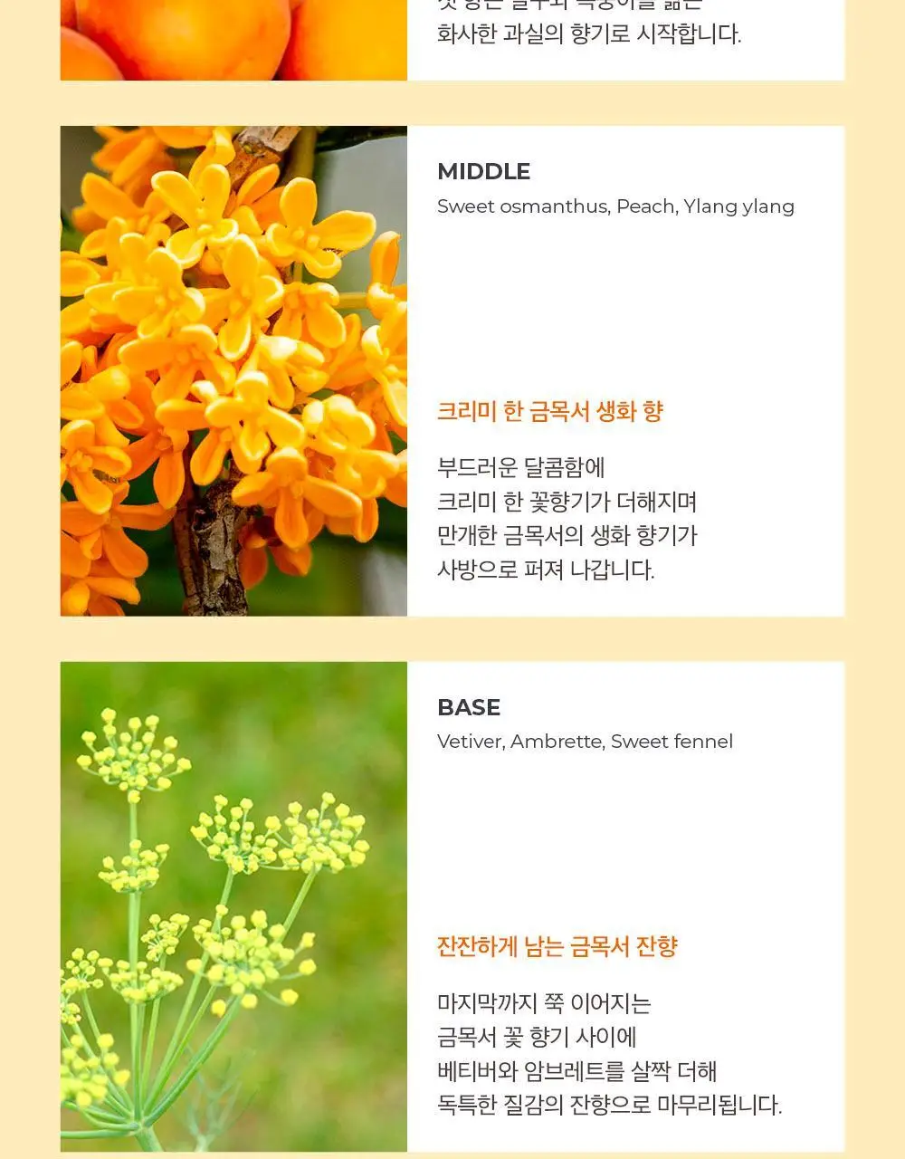 아로 풀 문 블로썸 EDT 50ml 상세페이지 8