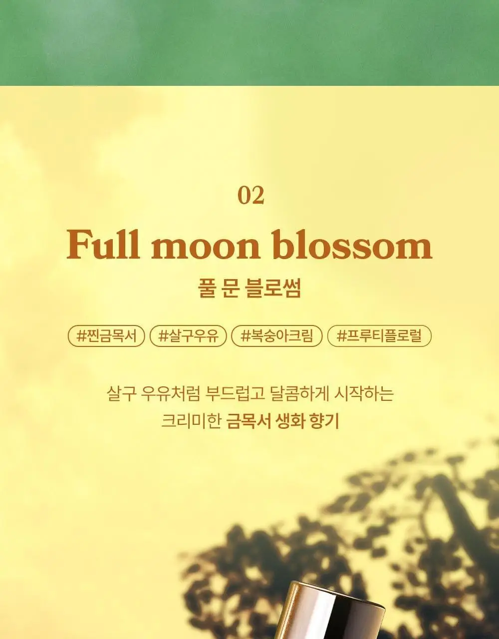 아로 EDT 50ml 6종 택 1 상세페이지 7