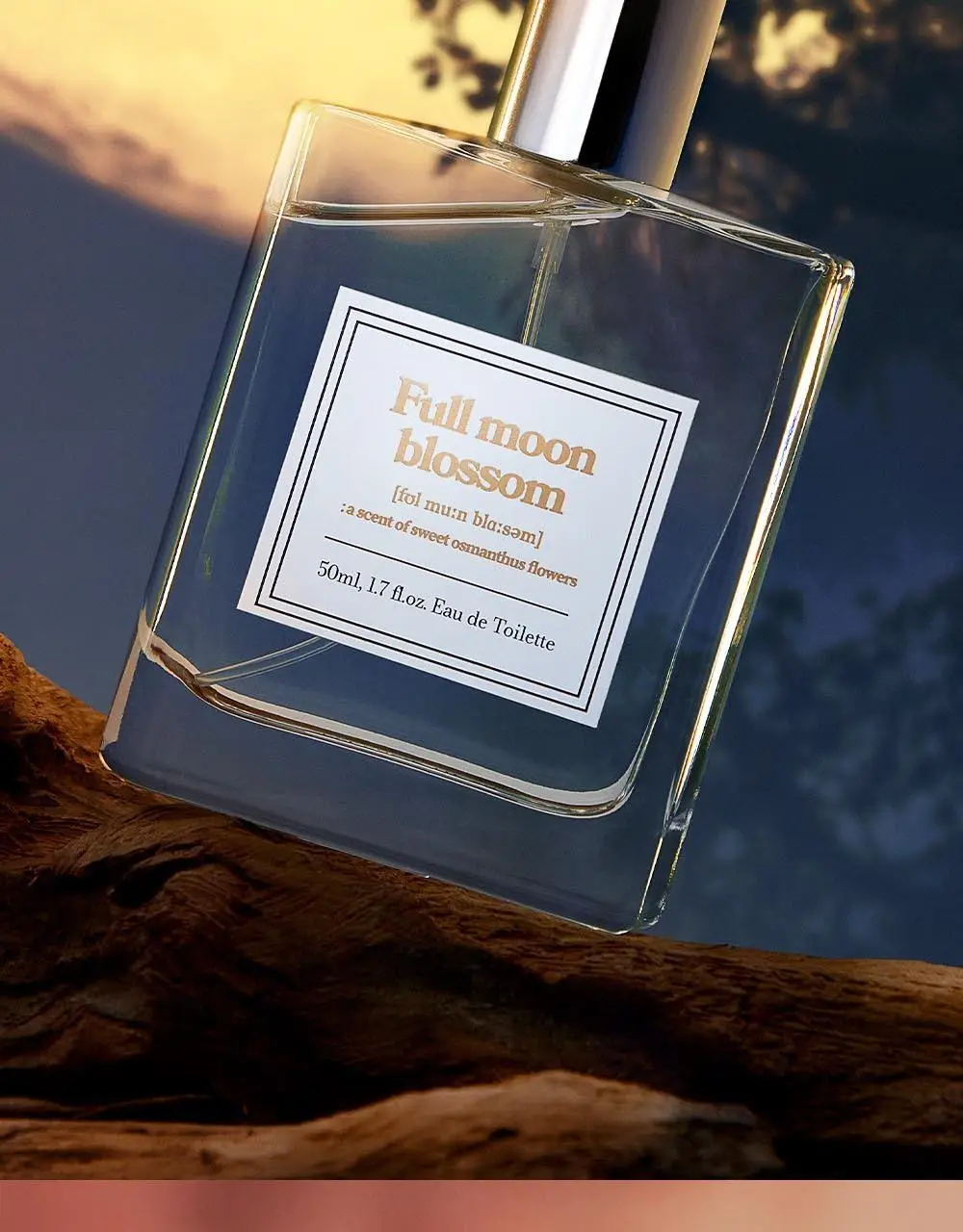 아로 EDT 50ml 6종 택 1 상세페이지 8