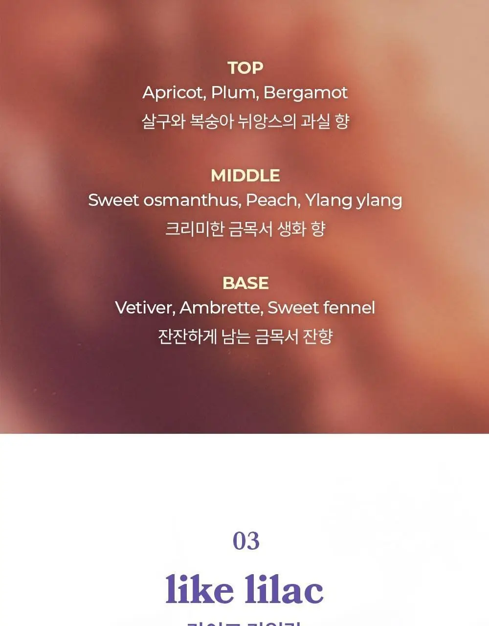 아로 EDT 50ml 6종 택 1 상세페이지 9