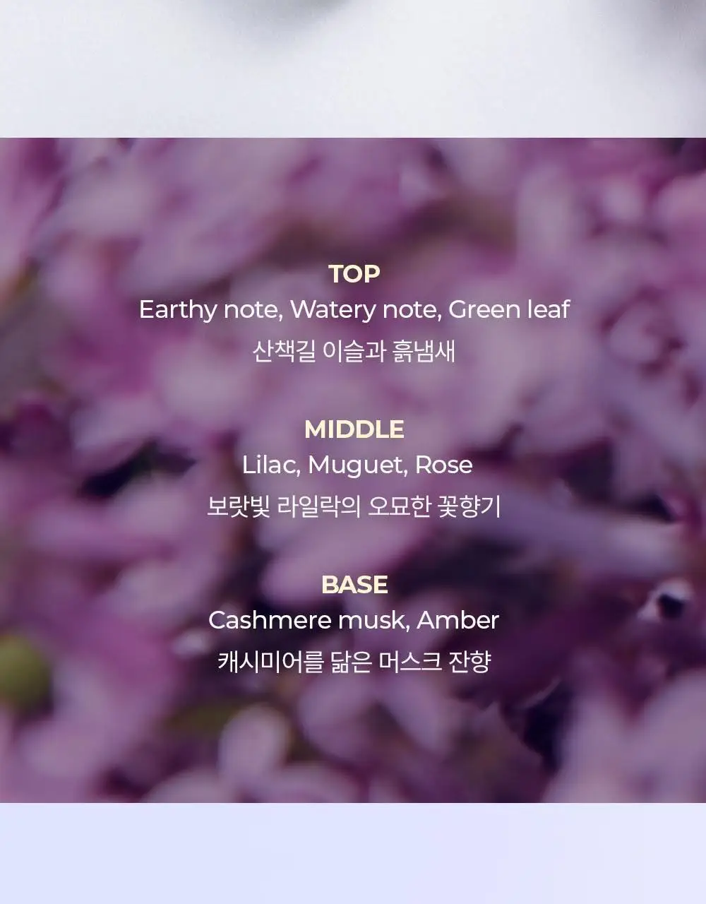 아로 EDT 50ml 6종 택 1 상세페이지 11