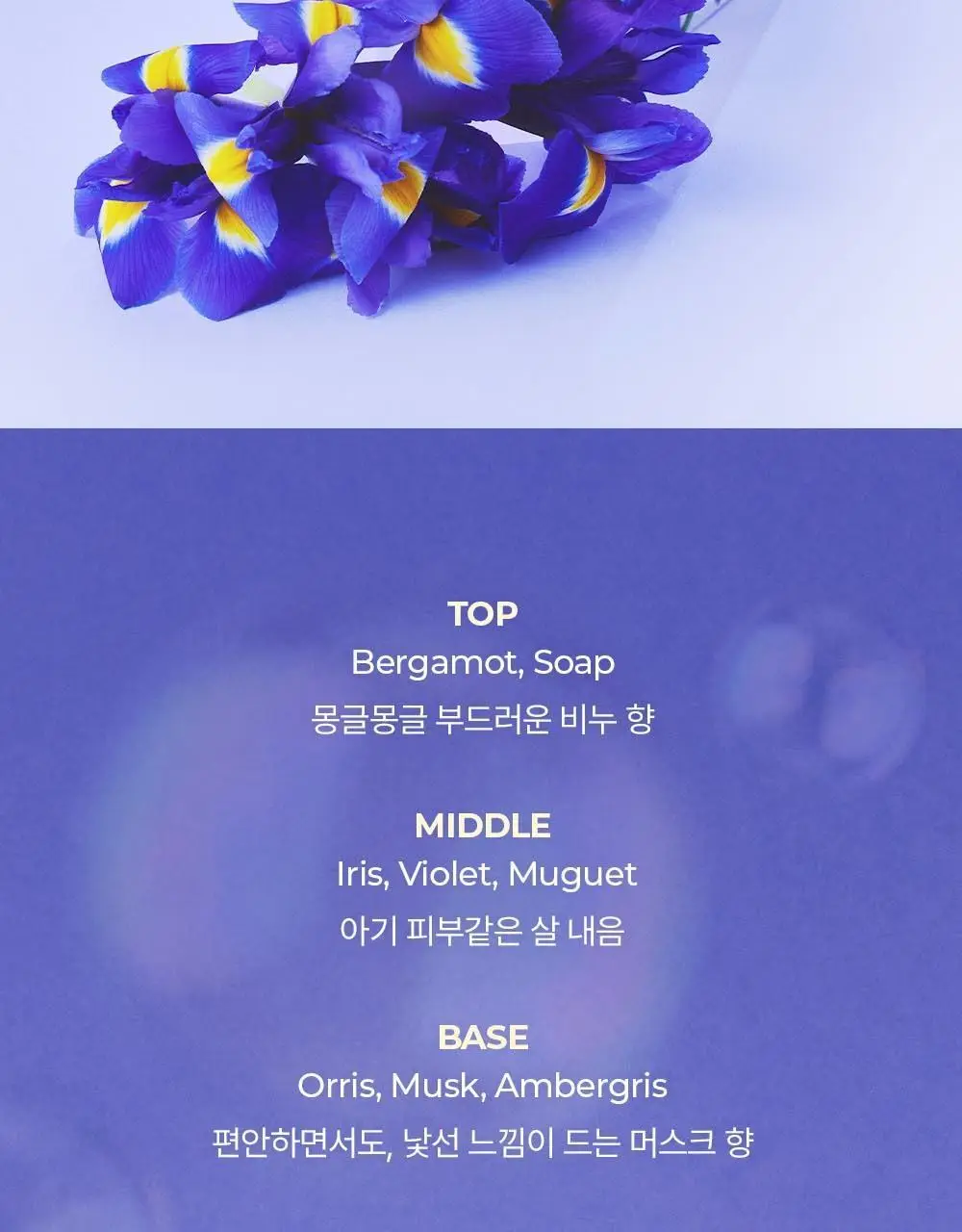 아로 EDT 50ml 6종 택 1 상세페이지 13
