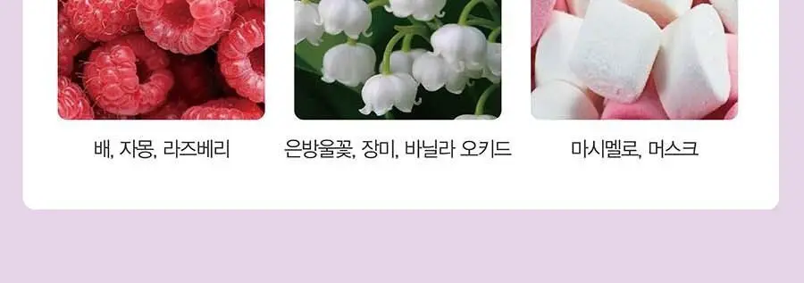 아리아나그란데 아리 EDP 100ml 상세페이지 8