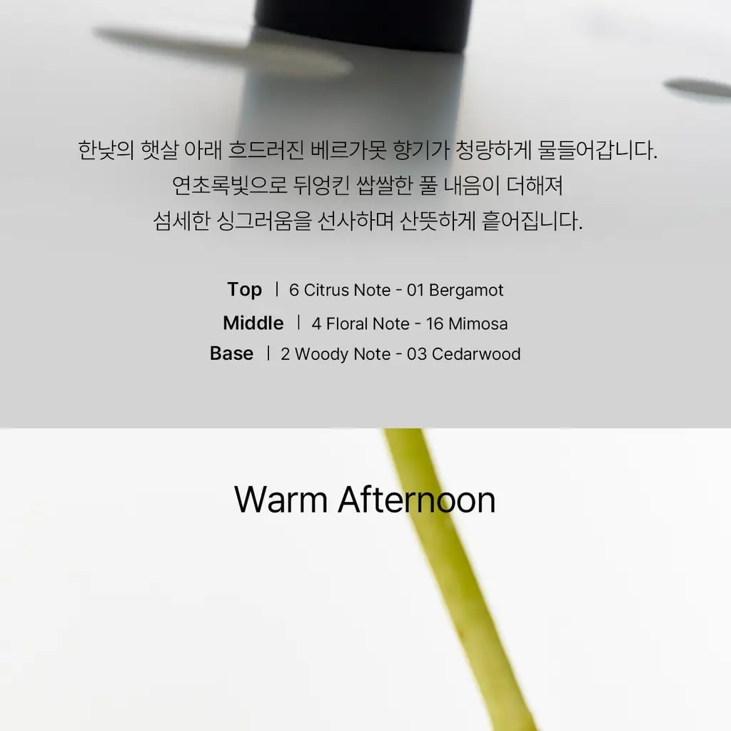 에이딕트 솔리드&오드 퍼퓸 중 택1(단품/기획) 상세페이지 19