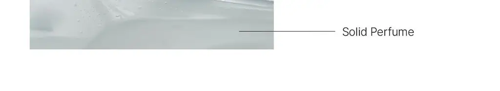 에이딕트 솔리드&오드 퍼퓸 중 택1(단품/기획) 상세페이지 33