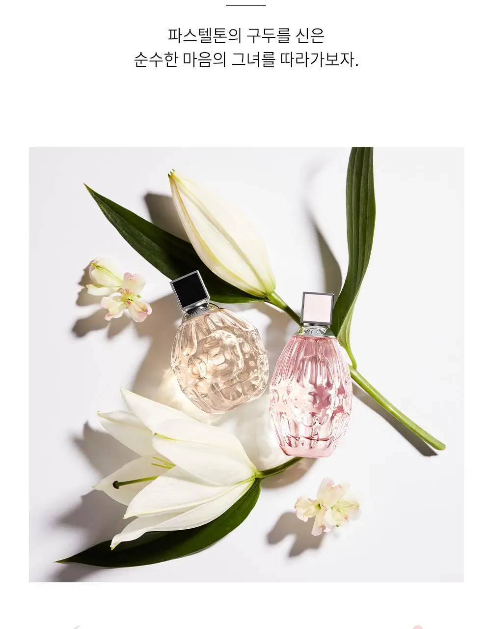 지미추 로 EDT 60ML 상세페이지 2