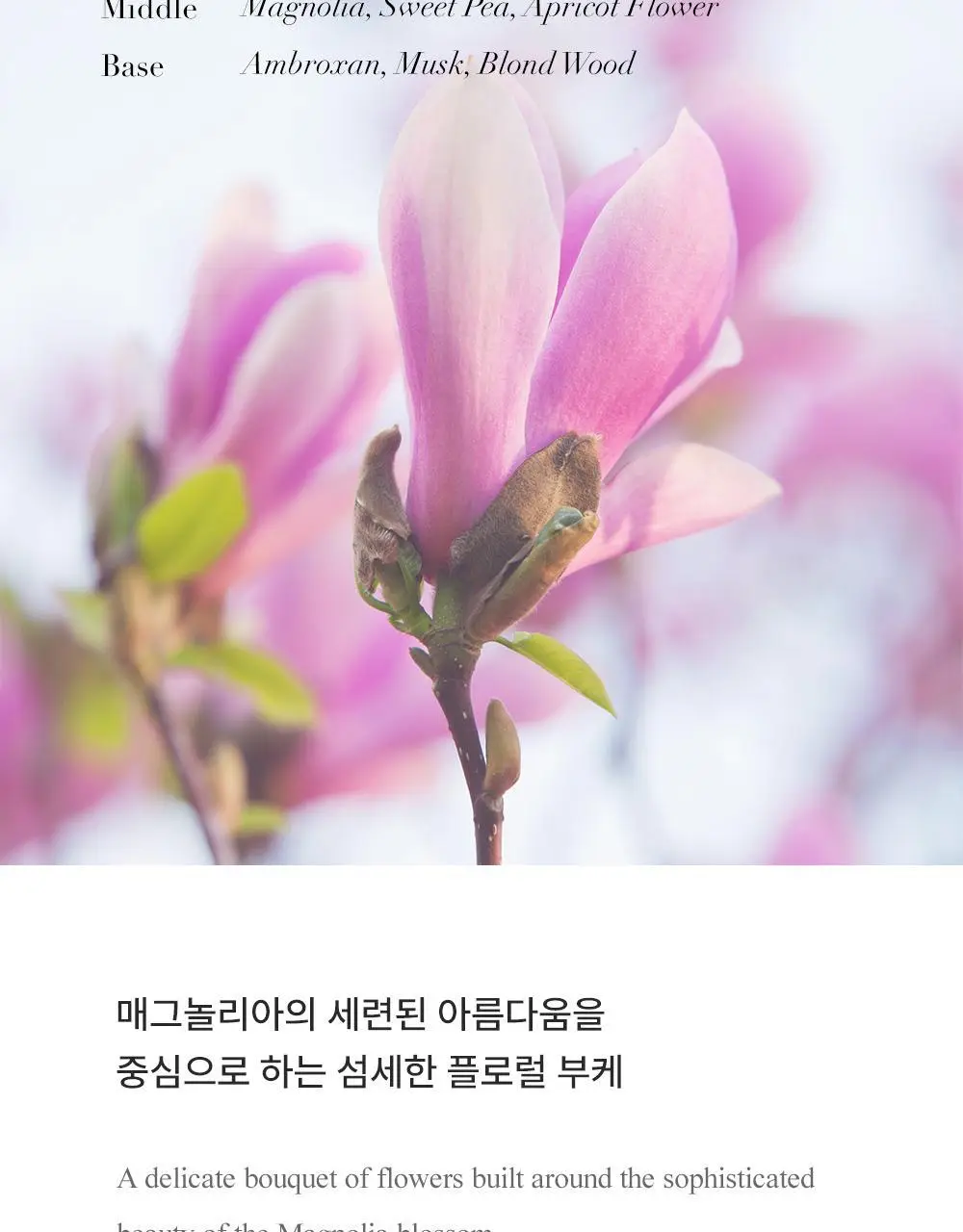 지미추 플로럴 EDT 40ml/60ml 상세페이지 3