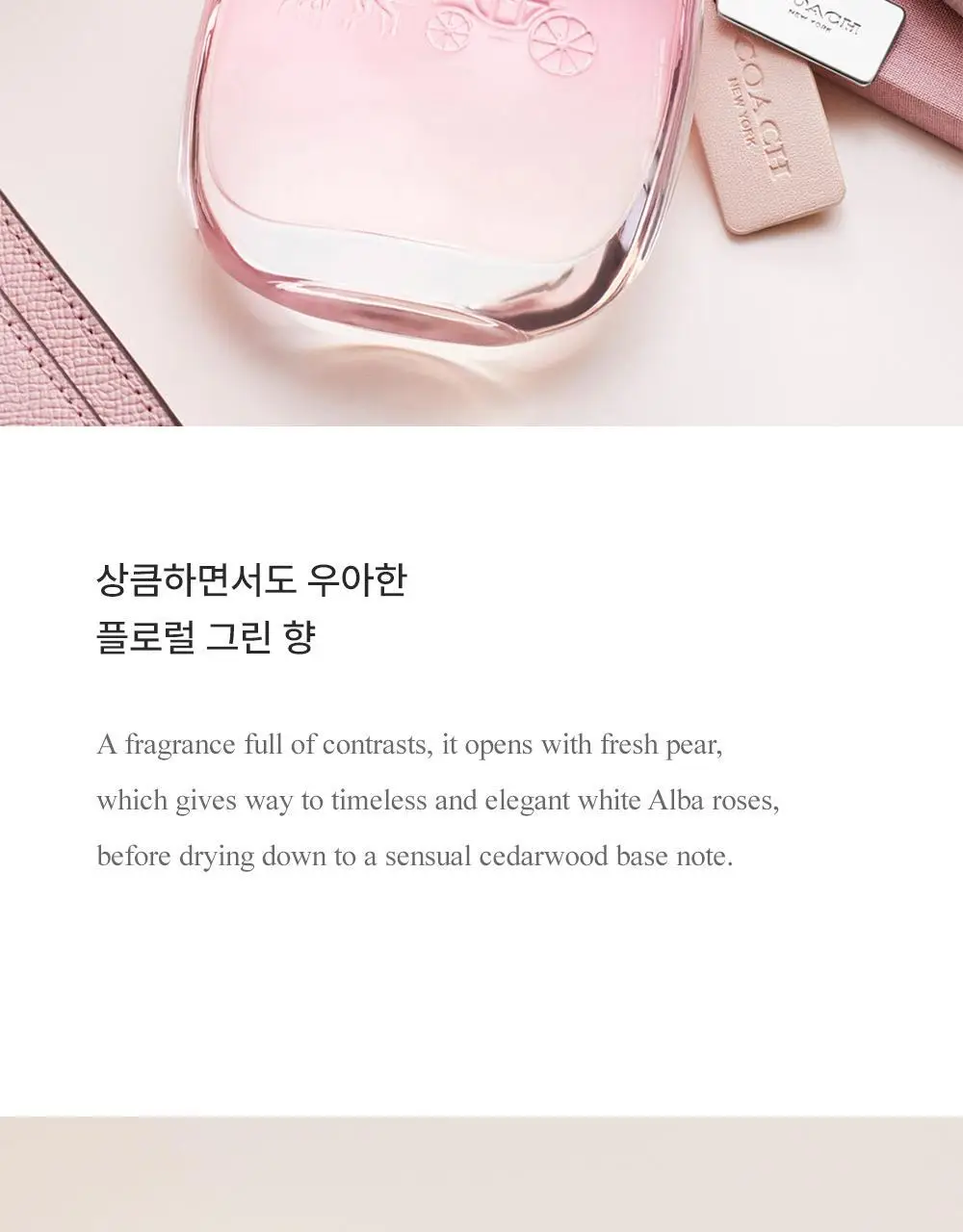 코치 EDT 30ml/50ml 택1 상세페이지 3