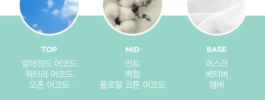 클린 리저브 블렌드 웜코튼 EDP 30ml/50ml 2종 택1 상세페이지 3