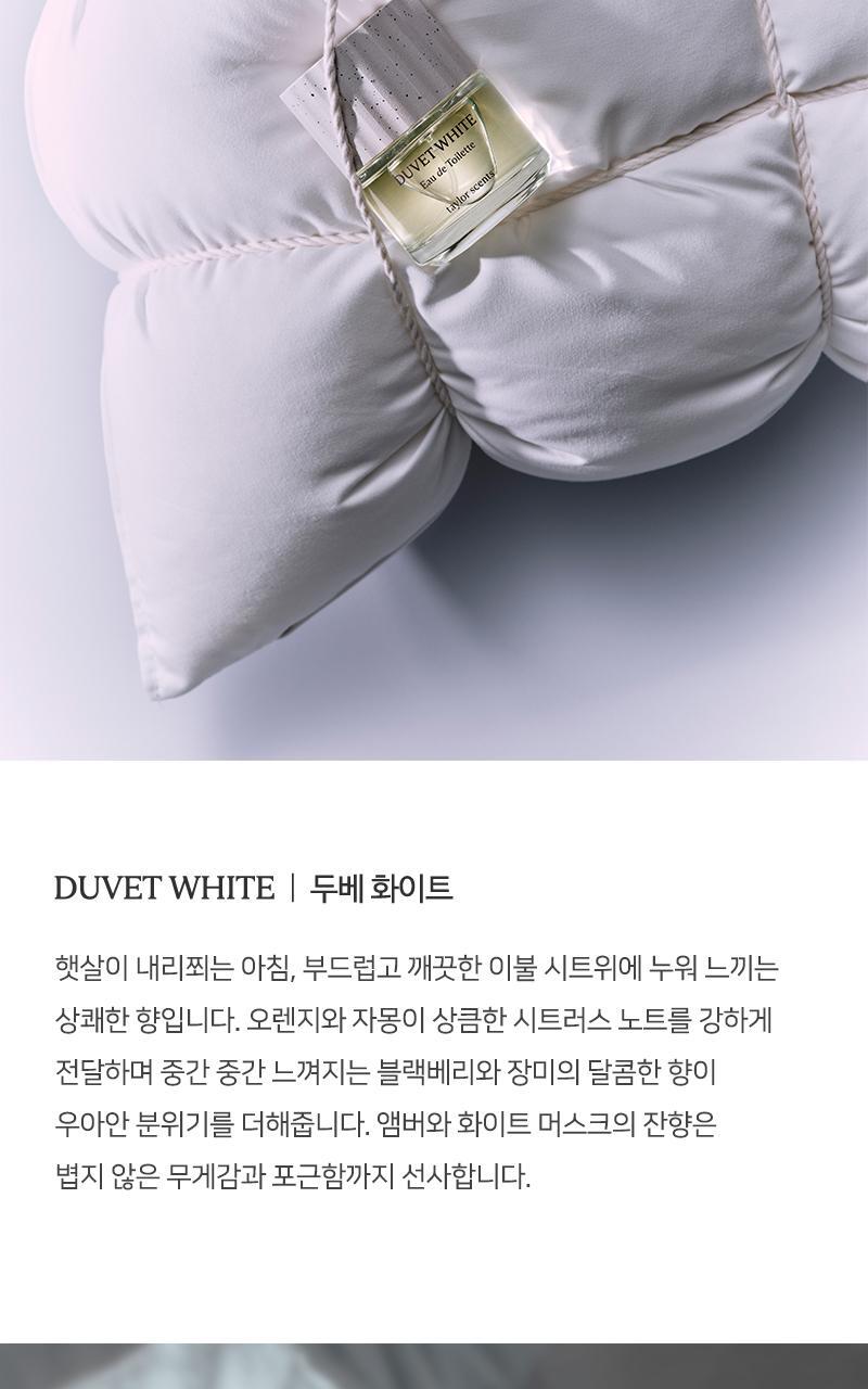 테일러센츠 오브제 퍼퓸 EDT 30ml 두베화이트 상세페이지 8