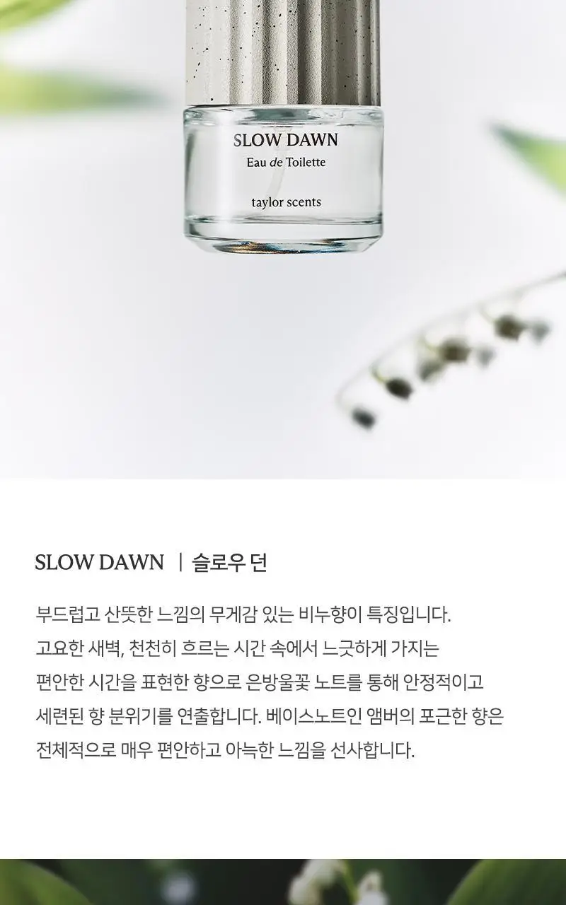 테일러센츠 오브제 퍼퓸 EDT 30ml 슬로우던 상세페이지 12
