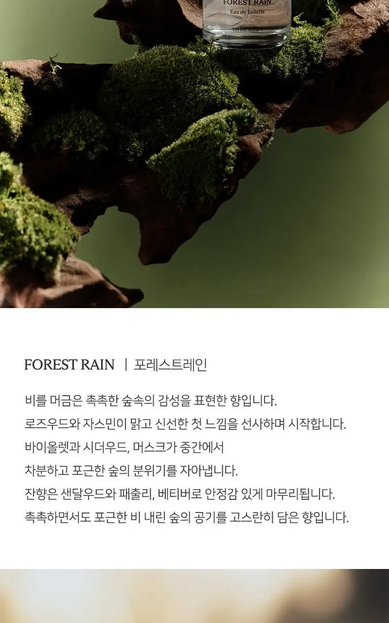 테일러센츠 오브제 퍼퓸 EDT 30ml 포레스트레인 상세페이지 12