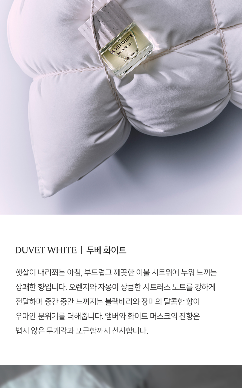 테일러센츠 오브제 퍼퓸 EDT 30ml 16종 택 1 (단품/기획) 상세페이지 10