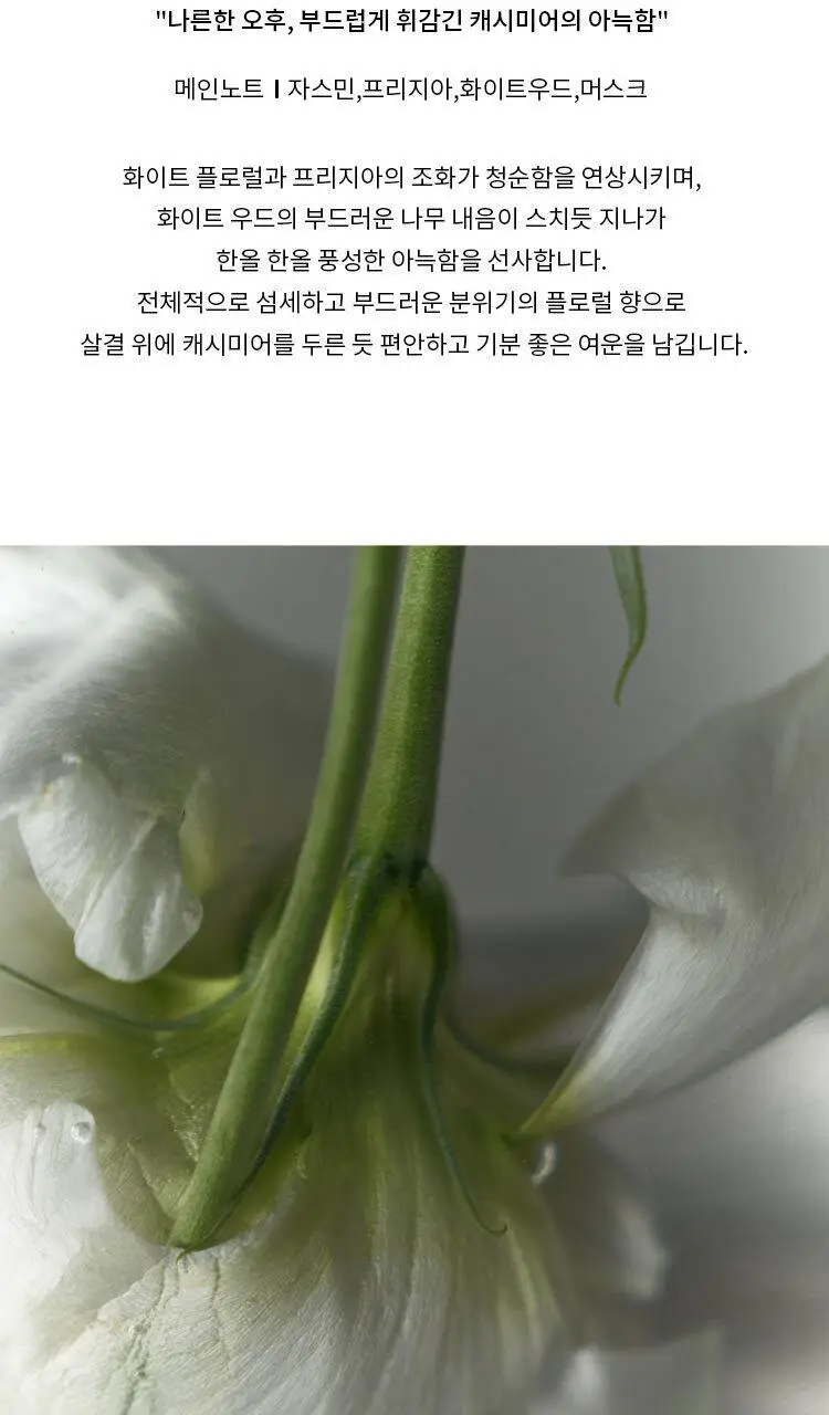 투데이이즈 오드 퍼퓸 50ml 5종 택 1 상세페이지 5