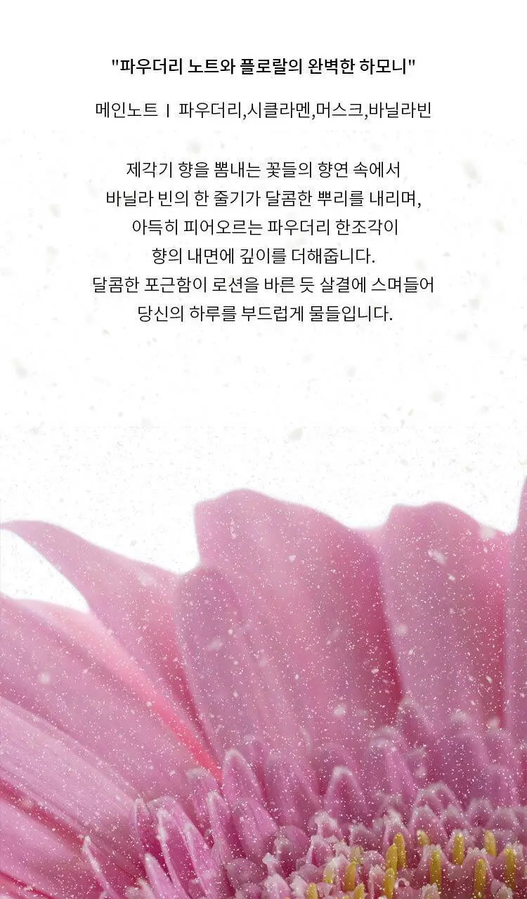 투데이이즈 오드 퍼퓸 50ml 5종 택 1 상세페이지 14