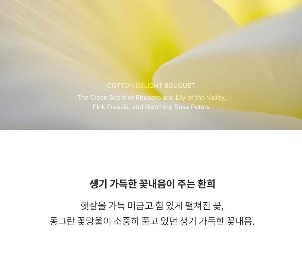 포맨트 시그니처 퍼퓸 코튼딜라잇부케 50ml 상세페이지 4