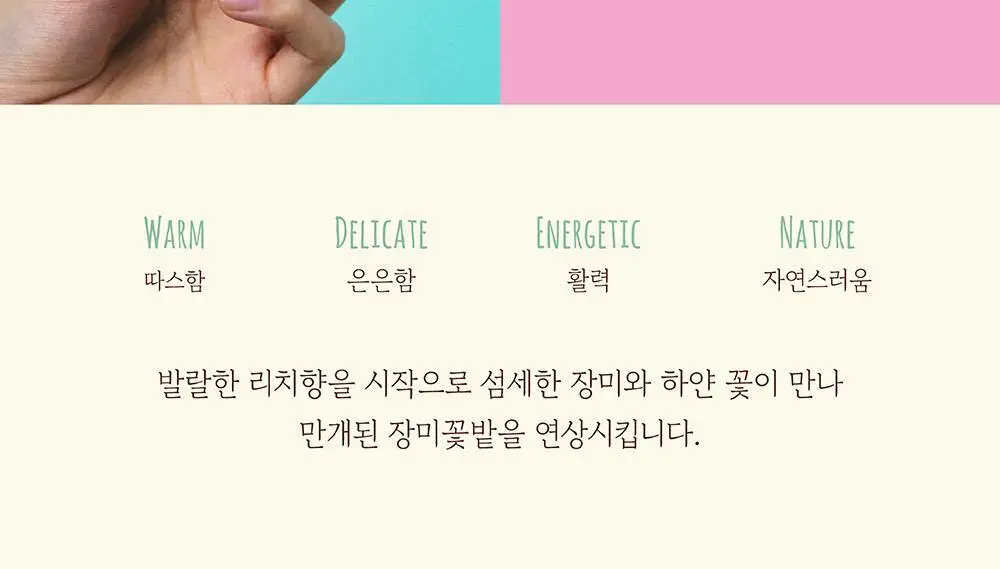 포스테스 오 드 퍼퓸 50ml 프롬 베른 기획 (+헤어퍼퓸오일 20ml) 상세페이지 7