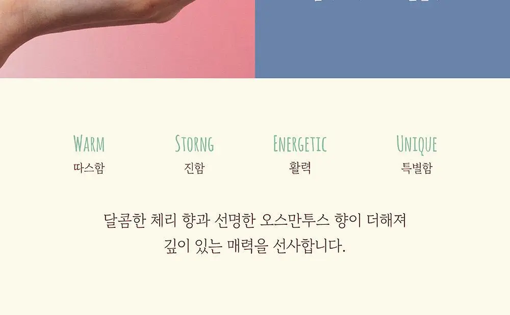 포스테스 오 드 퍼퓸 50ml 프롬 아바나 상세페이지 5