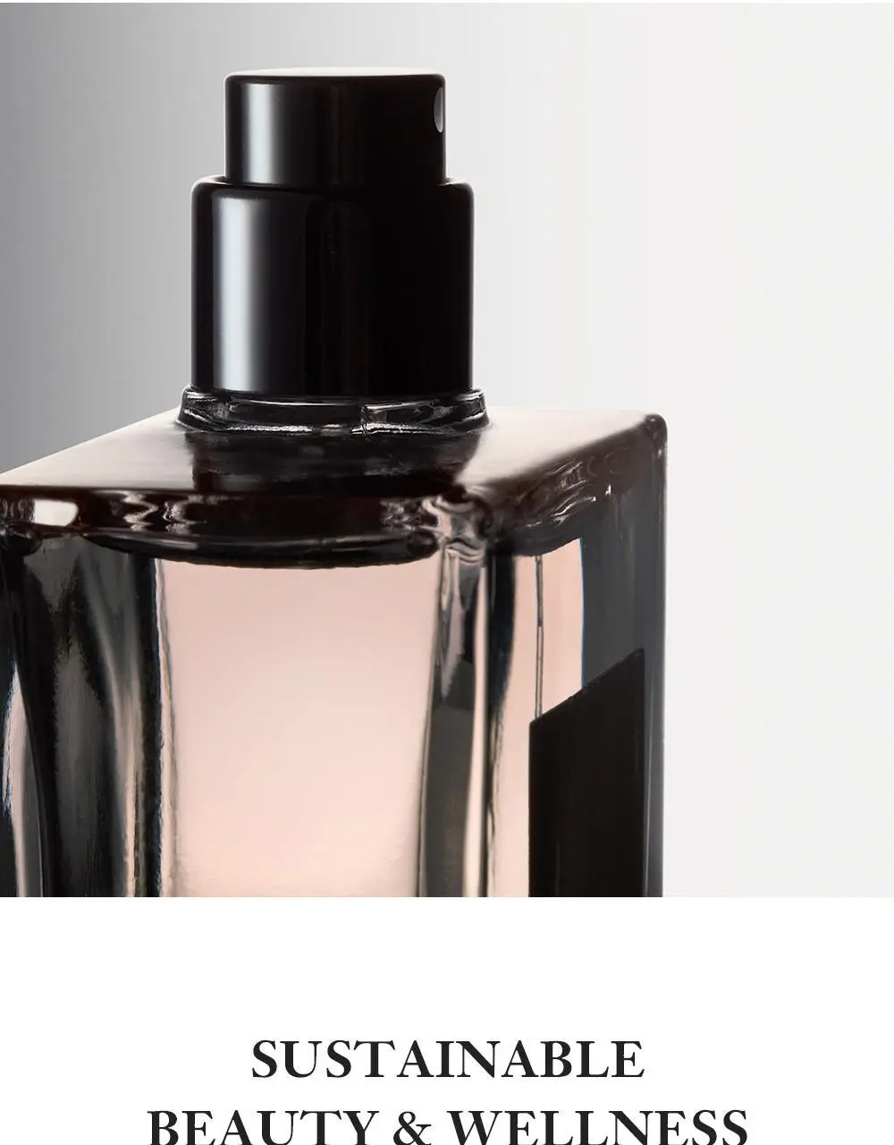 필로소피 어메이징 그레이스 발레로즈 EDT 60ml 상세페이지 8