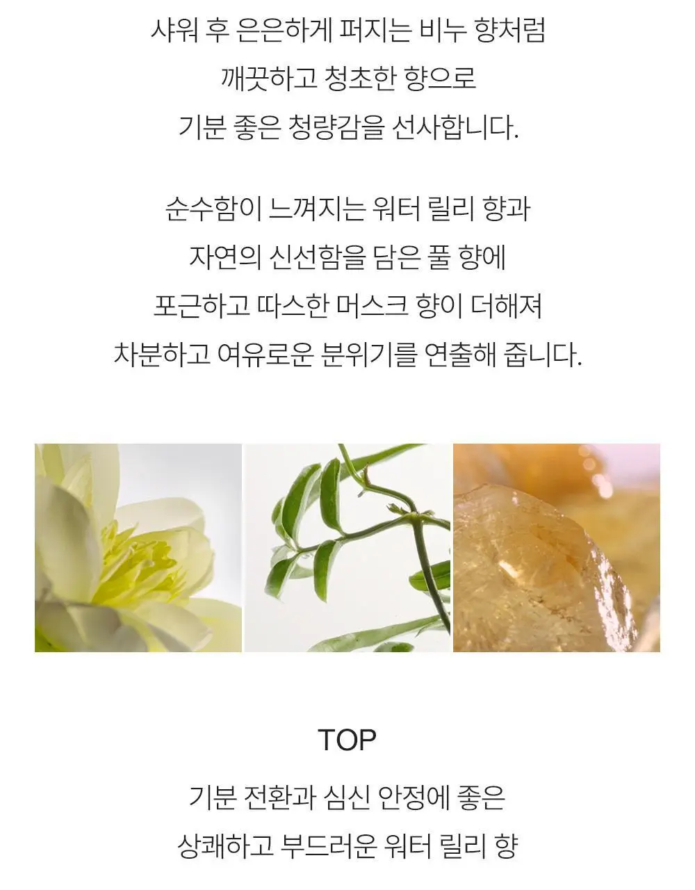필로소피 퓨어그레이스 EDT 15ml/60ml/60ml기획 상세페이지 5