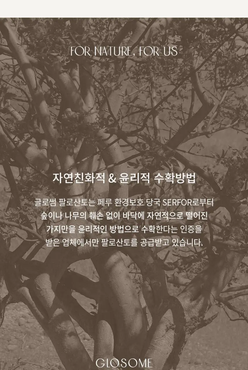 글로썸 홀리스모크 팔로산토 REGULAR 상세페이지 8
