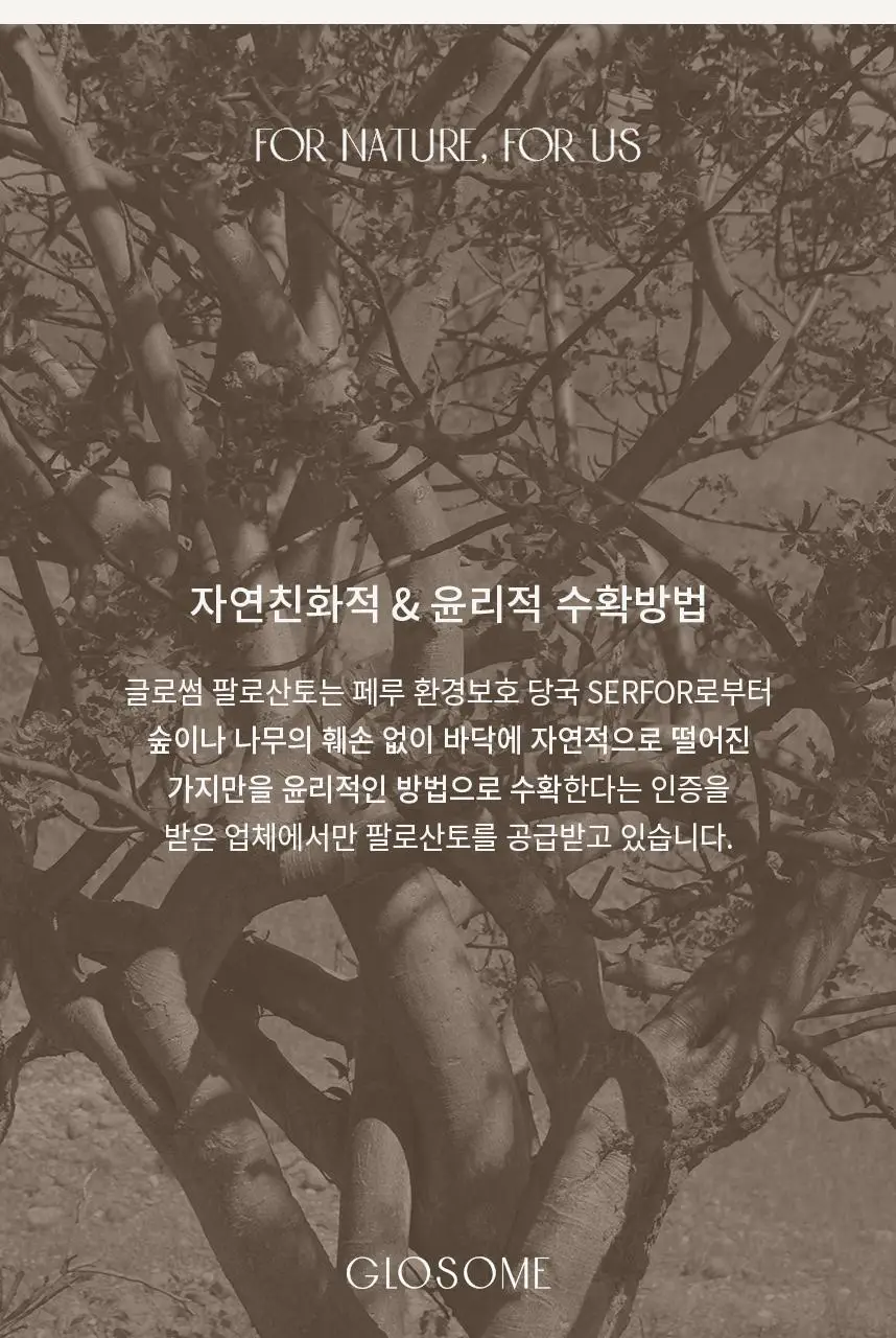글로썸 홀리스모크 팔로산토 THIN-CUT 상세페이지 10