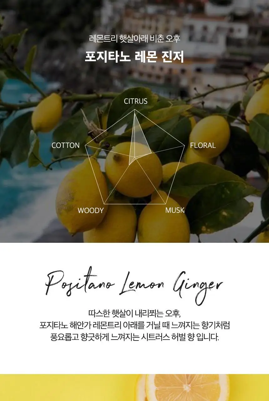 단순생활 프레그런스 디퓨저 100ml 포지타노레몬진저 상세페이지 32