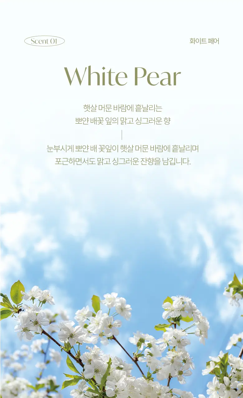 라운드어라운드 블룸 디퓨저 300ml 2종 상세페이지 16