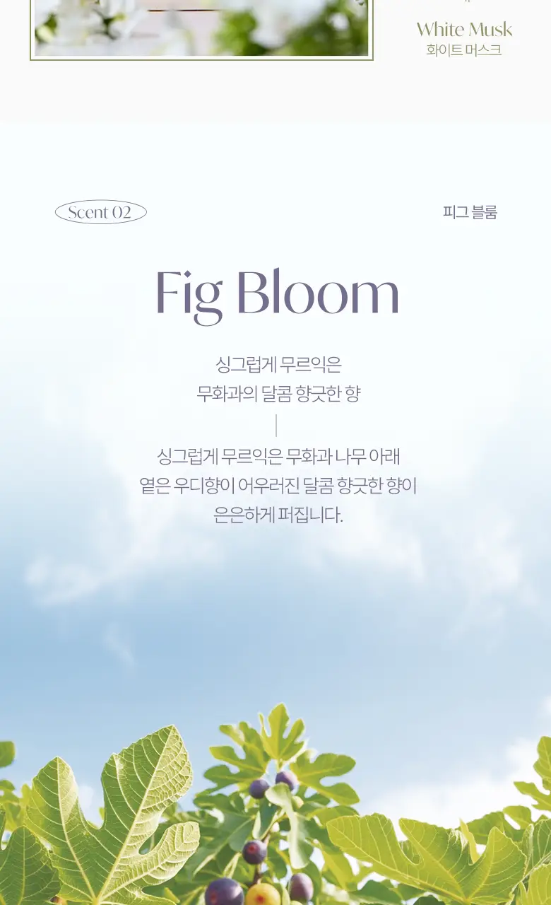 라운드어라운드 블룸 디퓨저 300ml 2종 상세페이지 18