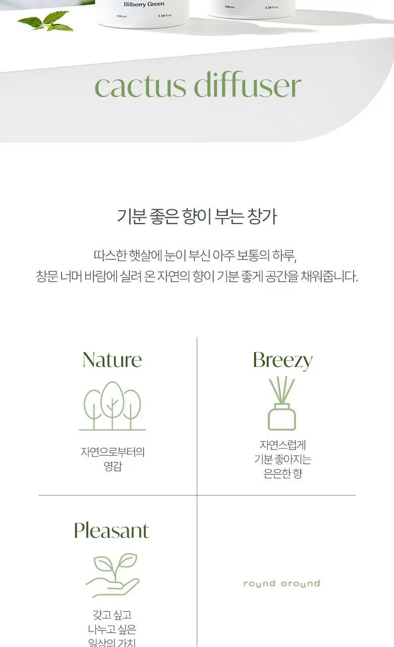 라운드어라운드 선인장 디퓨저 2종 택1 상세페이지 3