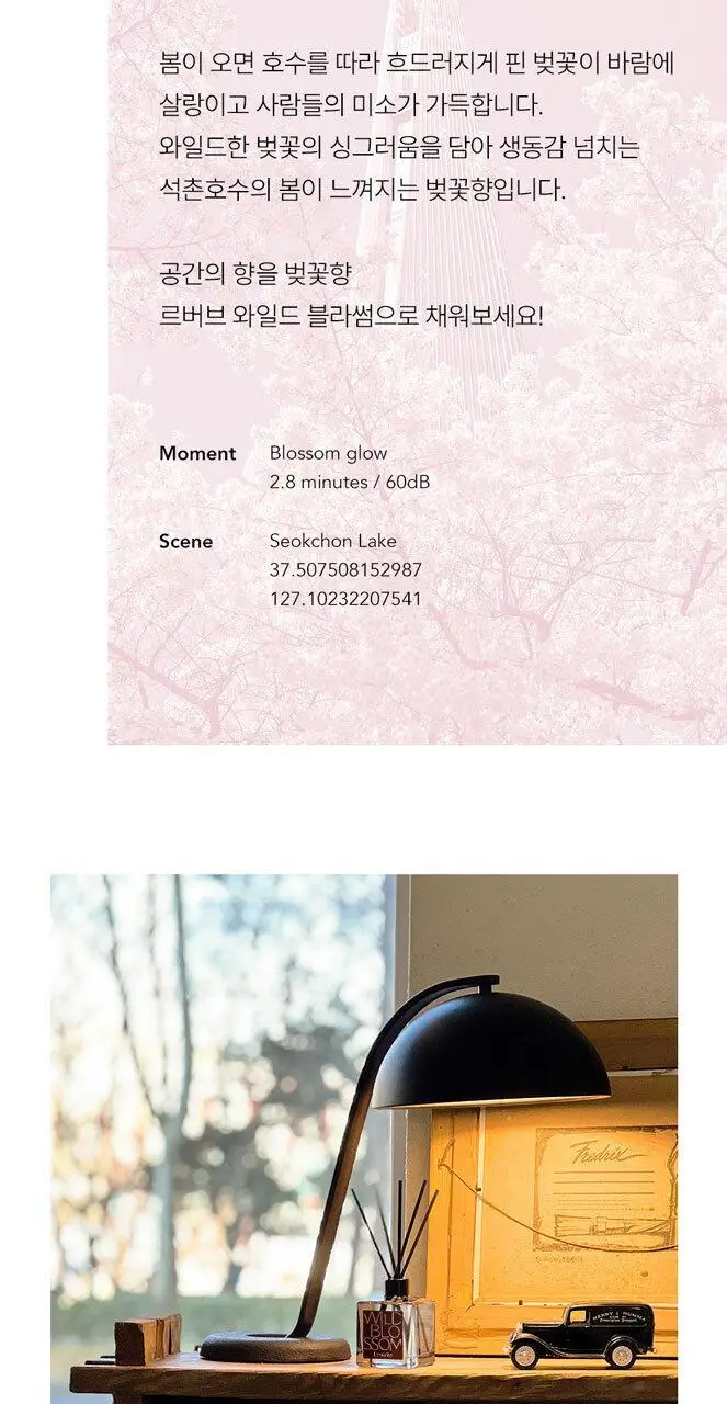르버브 와일드 블라썸 디퓨저 200ml 벚꽃 상세페이지 3