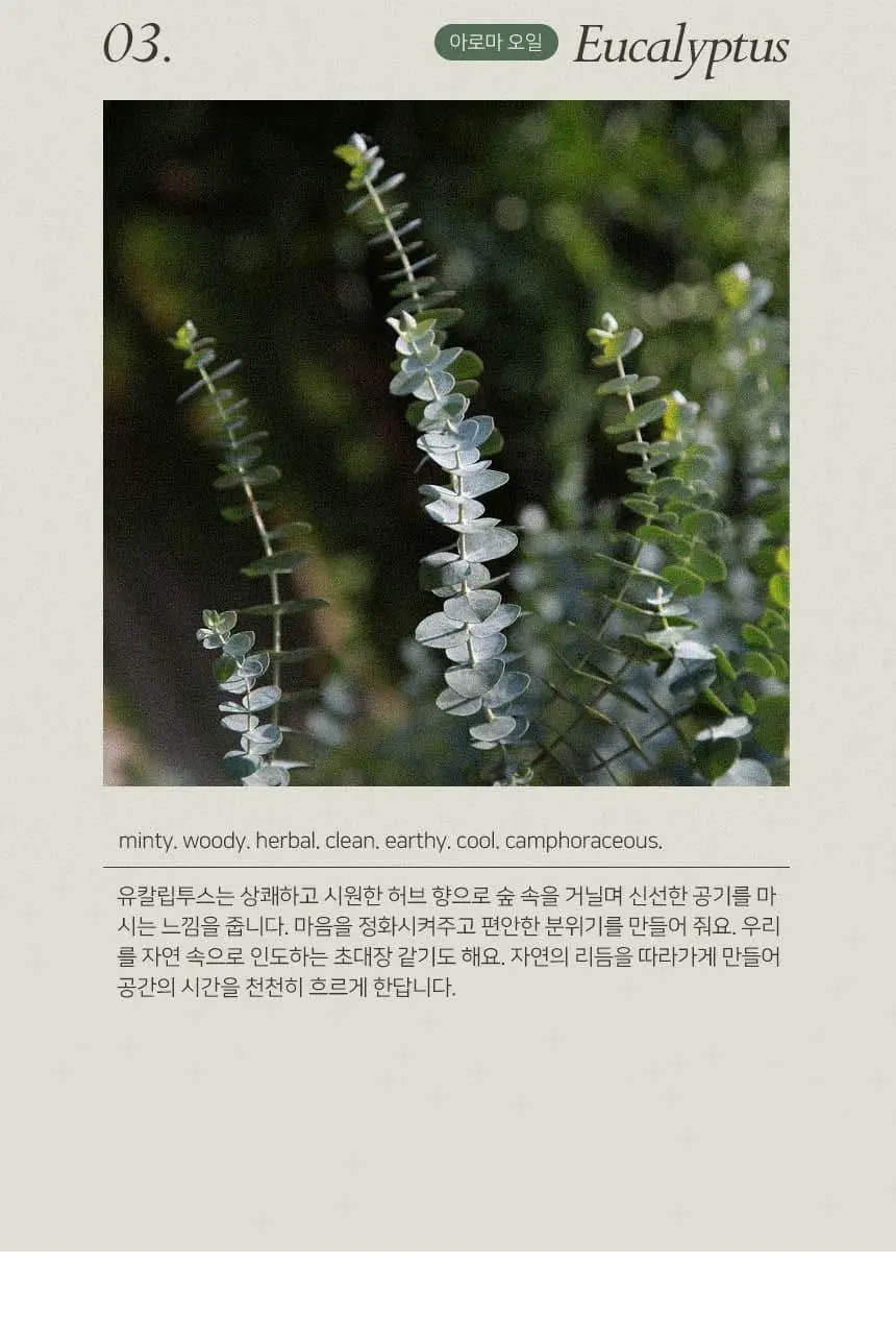 멜리멜로 클래식 스톤디퓨저 4종 택 1 상세페이지 12