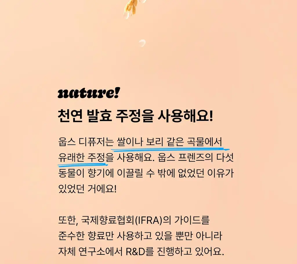 무무네 웁스 디퓨저 100ml 3종 SET 프레쉬 선데이 (온) 상세페이지 14