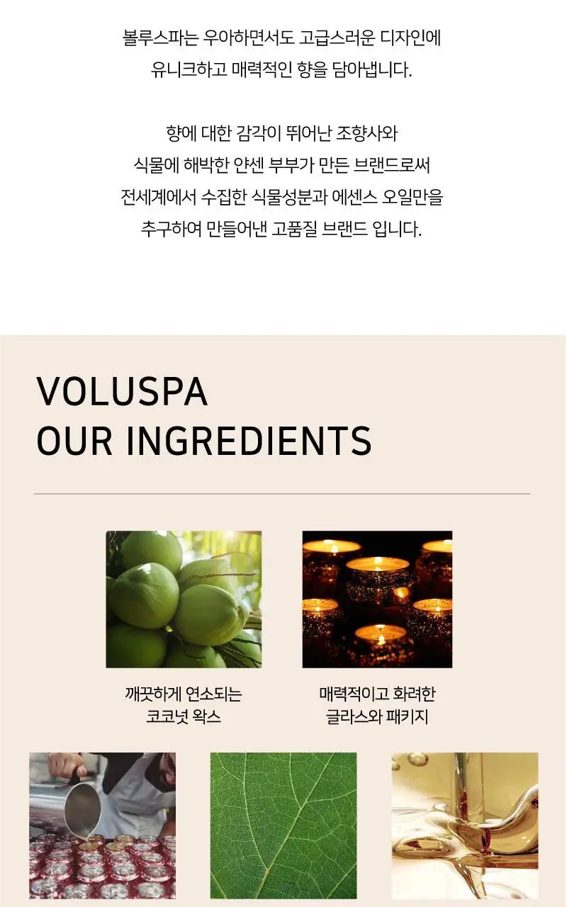 볼루스파 메종 노이르 디퓨저 172mL 3종 (택1) 상세페이지 3
